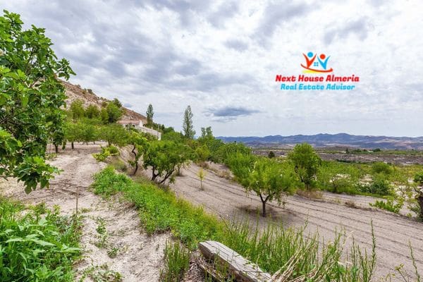 6 chambre Finca/Maison de Campagne à vendre à Velez-Blanco avec garage - 219 900 € (Ref: 8461614)