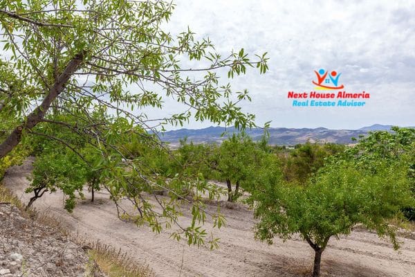 6 chambre Finca/Maison de Campagne à vendre à Velez-Blanco avec garage - 219 900 € (Ref: 8461614)