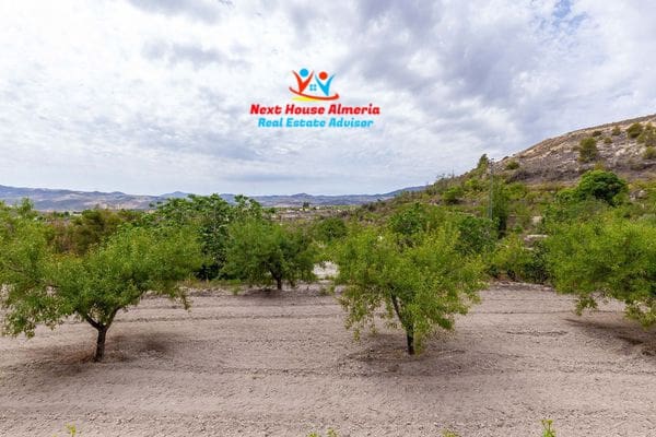 6 chambre Finca/Maison de Campagne à vendre à Velez-Blanco avec garage - 219 900 € (Ref: 8461614)