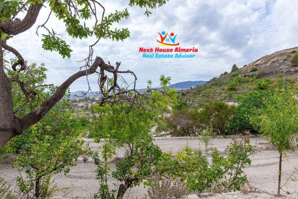 6 chambre Finca/Maison de Campagne à vendre à Velez-Blanco avec garage - 219 900 € (Ref: 8461614)