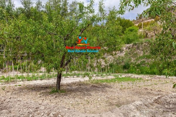 6 chambre Finca/Maison de Campagne à vendre à Velez-Blanco avec garage - 219 900 € (Ref: 8461614)