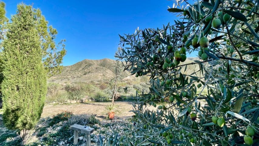 4 slaapkamer Finca/Landhuis te koop in Almanzora - € 299.950 (Ref: 9627388)
