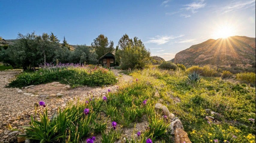 4 slaapkamer Finca/Landhuis te koop in Almanzora - € 299.950 (Ref: 9627388)