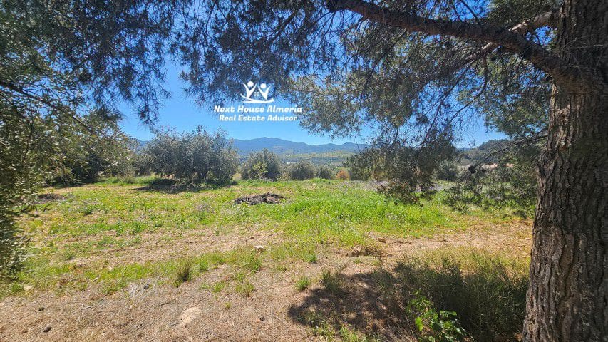 7 bedroom Finca/Country House for sale in La Parroquia with garage - € 425,000 (Ref: 9719736)