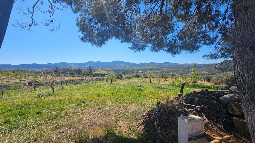 7 bedroom Finca/Country House for sale in La Parroquia with garage - € 425,000 (Ref: 9719736)