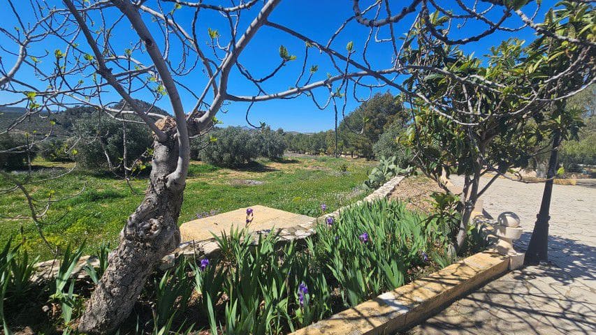 7 bedroom Finca/Country House for sale in La Parroquia with garage - € 425,000 (Ref: 9719736)