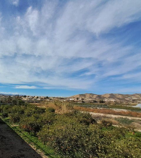 7 bedroom Finca/Country House for sale in Arboleas - € 299,995 (Ref: 9784989)