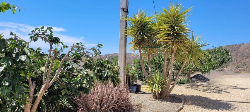 7 slaapkamer Finca/Landhuis te koop in Taberno - € 299.950 (Ref: 9864959)