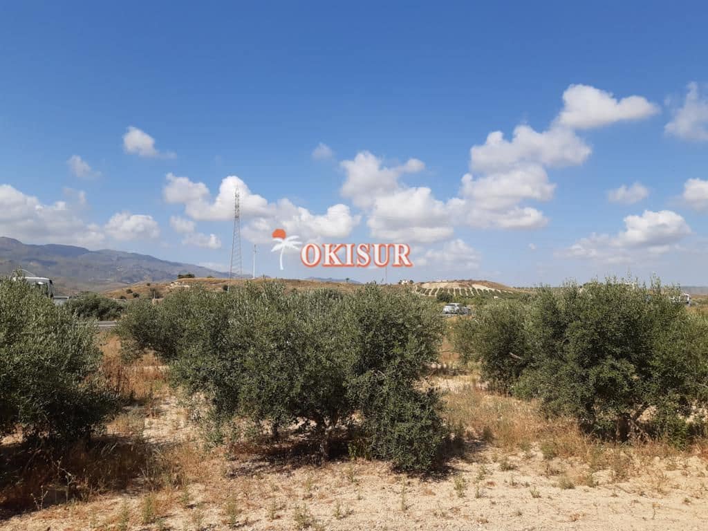 4 soveværelse Villa til salg i Mojacar med garage - € 320.000 (Ref: 8140914)