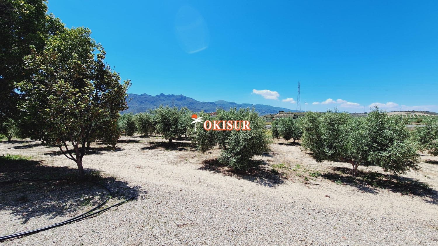 4 soveværelse Villa til salg i Mojacar med garage - € 320.000 (Ref: 8140914)