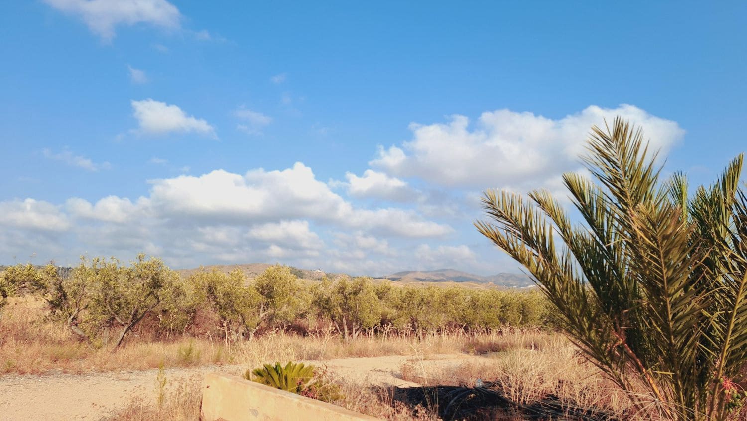 3 soveværelse Villa til salg i Los Gallardos med garage - € 295.000 (Ref: 9192655)