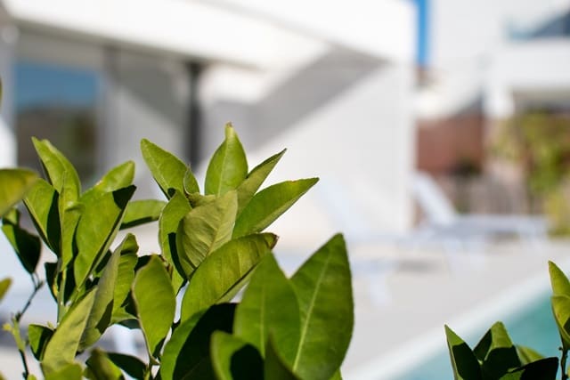 3 sypialnia Willa na sprzedaż w Los Montesinos z basenem garażem - 499 000 € (Ref: 6781686)