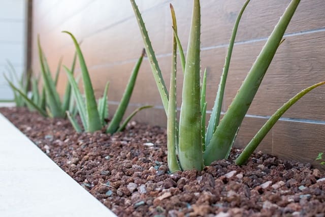 3 sypialnia Willa na sprzedaż w Los Montesinos z basenem garażem - 499 000 € (Ref: 6781686)