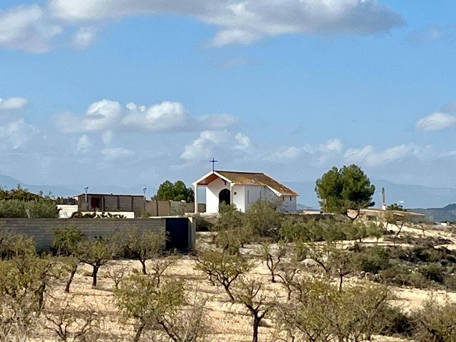 Byggegrund til salg i Bullas - € 170.000 (Ref: 8619414)