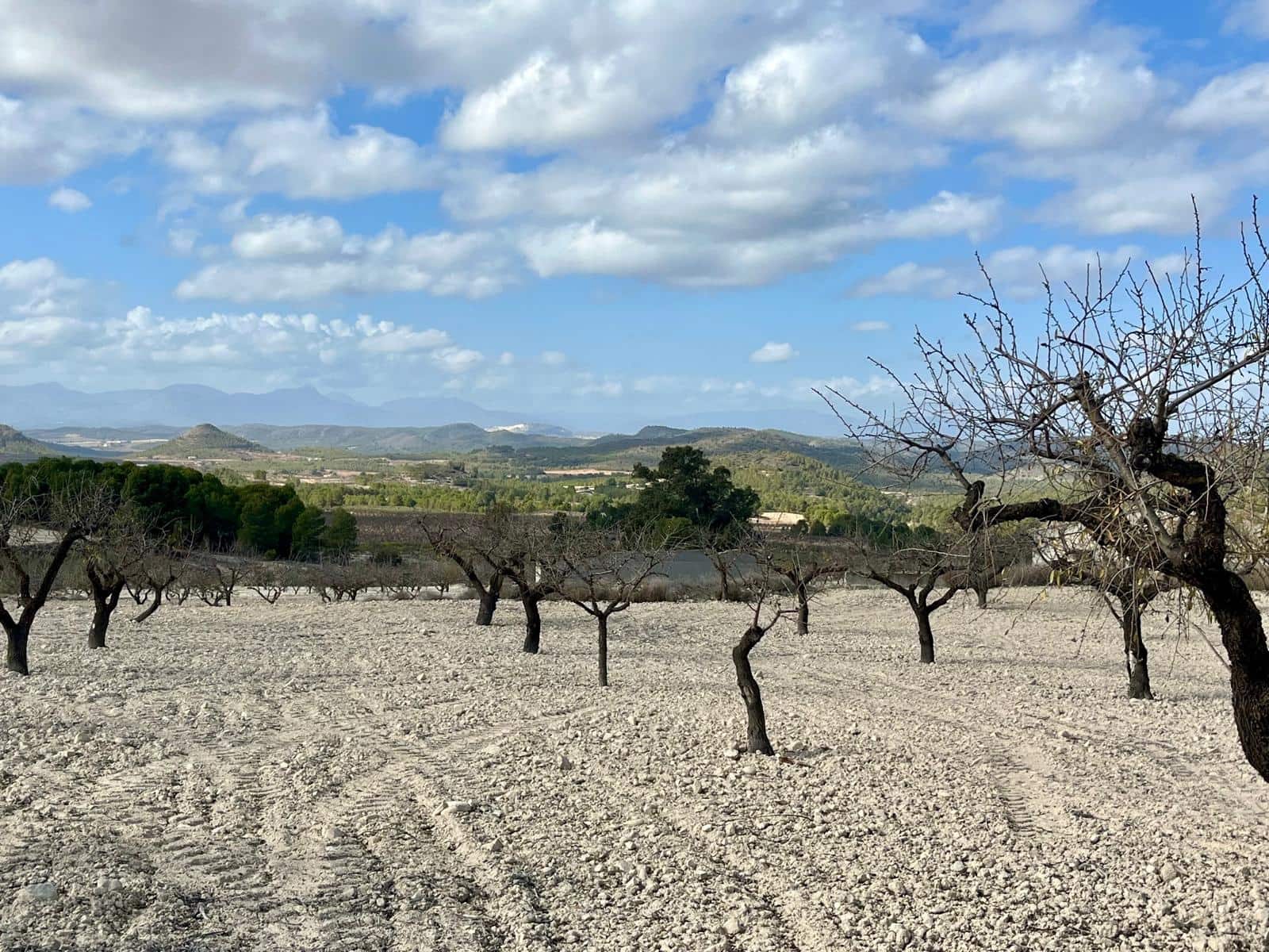 Byggegrund til salg i Bullas - € 170.000 (Ref: 8619414)