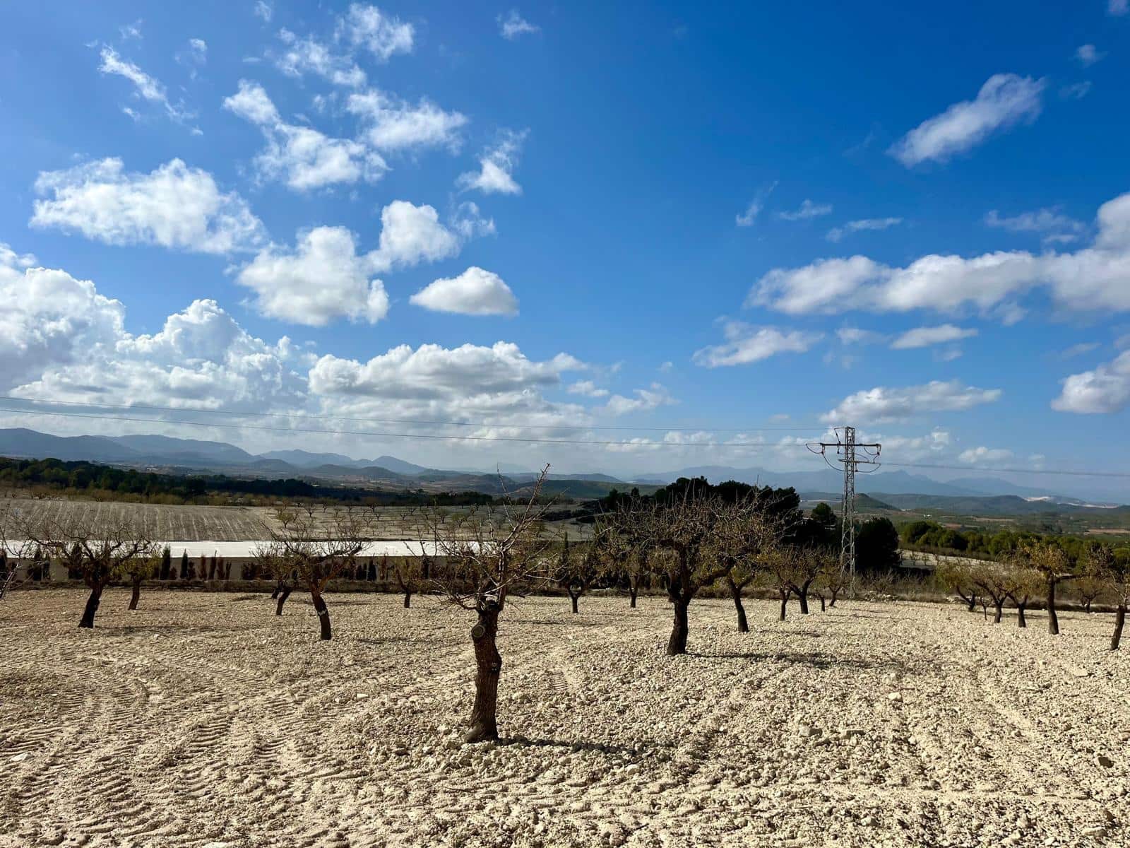 Byggegrund til salg i Bullas - € 170.000 (Ref: 8619414)