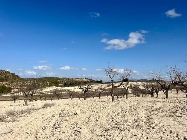 Tomt till salu i Bullas - 170 000 € (Ref: 8619414)