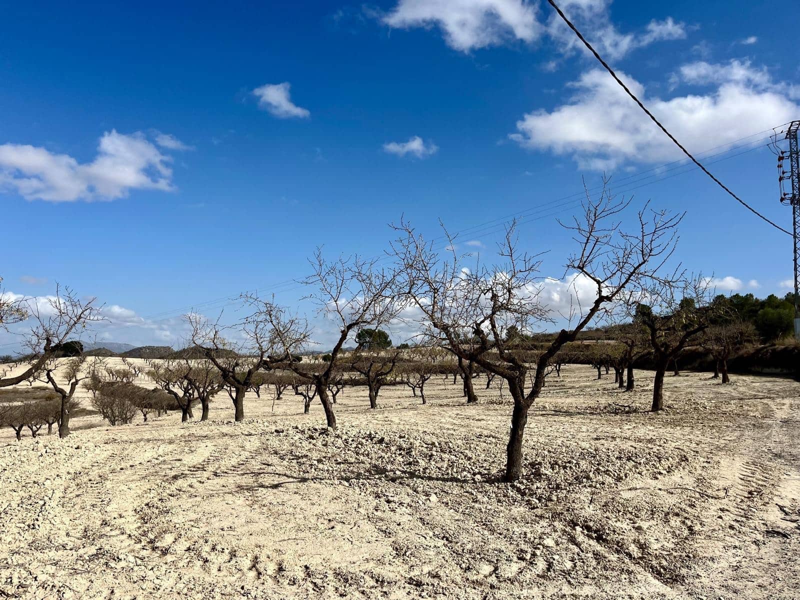 Byggegrund til salg i Bullas - € 170.000 (Ref: 8619414)