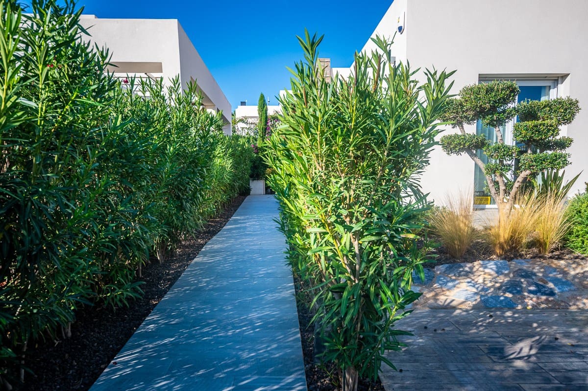 2 bedroom Villa for sale in Algorfa with pool - € 660,000 (Ref: 9308081)