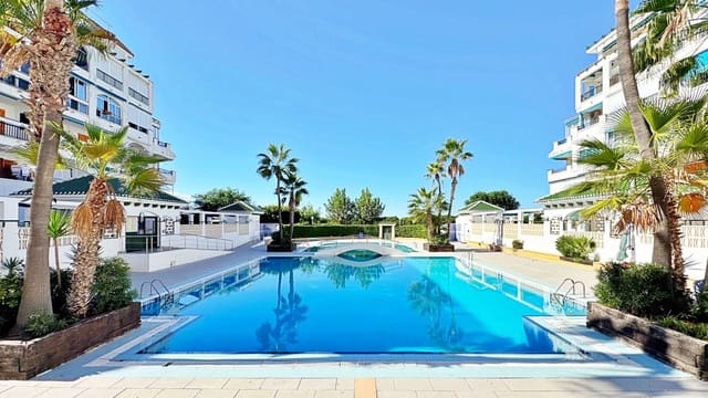 1 soveværelse Lejlighed til salg i Los Europeos, Torrevieja - € 187.900 (Ref: 9989474)