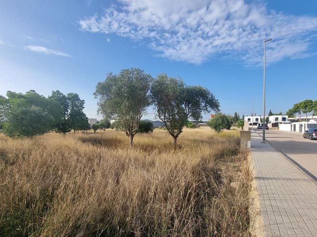 Undeveloped Land for sale in La Pobla de Vallbona - € 612,000 (Ref: 7197584)