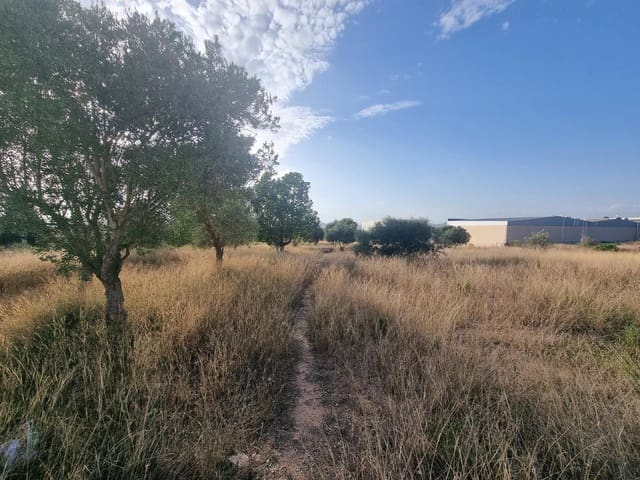 Undeveloped Land for sale in La Pobla de Vallbona - € 612,000 (Ref: 7197584)