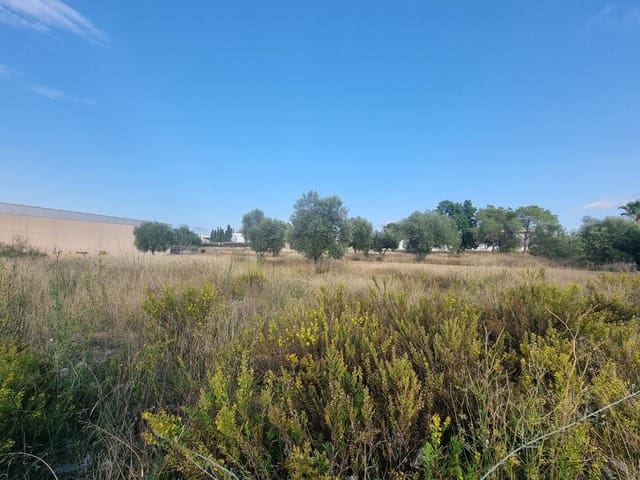 Undeveloped Land for sale in La Pobla de Vallbona - € 612,000 (Ref: 7197584)