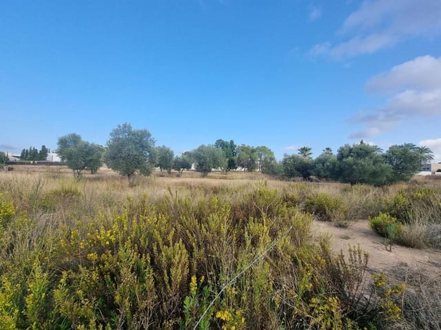 Undeveloped Land for sale in La Pobla de Vallbona - € 612,000 (Ref: 7197584)