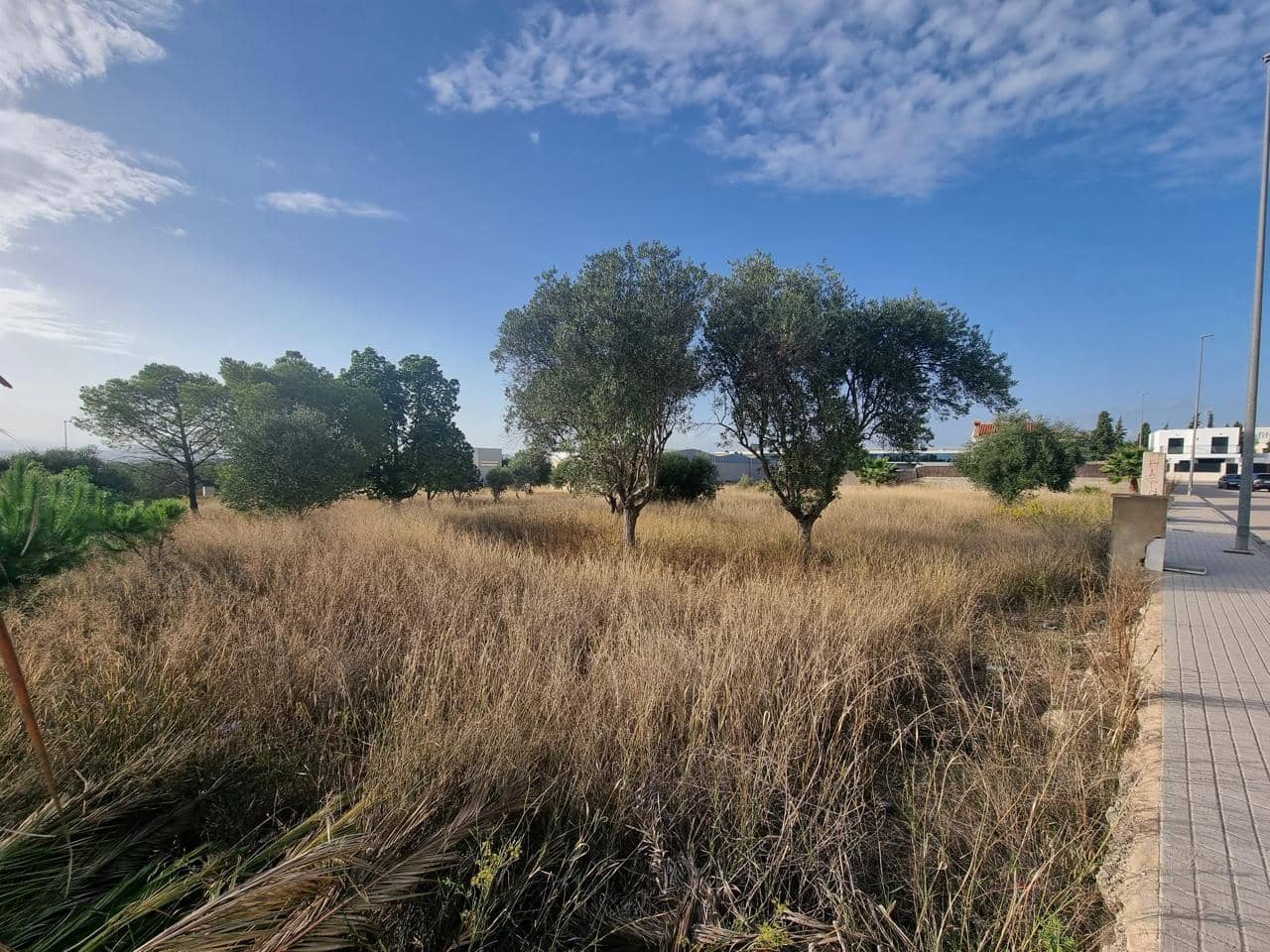 Terreno Não Urbanizado para venda em La Pobla de Vallbona - 395 000 € (Ref: 7197584)