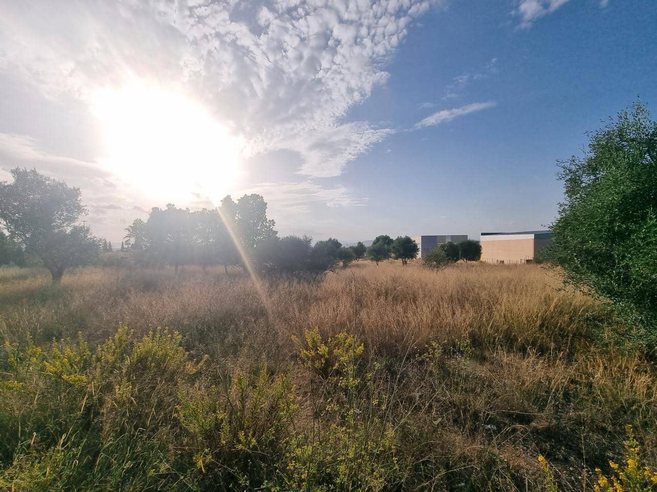 Terreno Não Urbanizado para venda em La Pobla de Vallbona - 395 000 € (Ref: 7197584)
