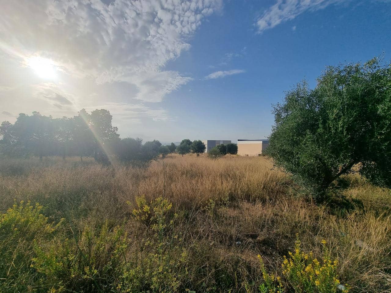Terreno Não Urbanizado para venda em La Pobla de Vallbona - 395 000 € (Ref: 7197584)