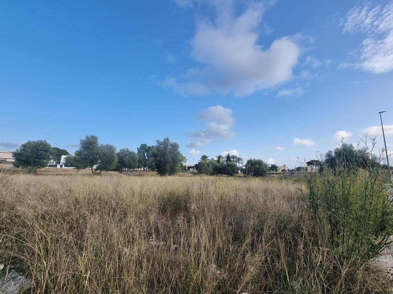 Terreno Não Urbanizado para venda em La Pobla de Vallbona - 395 000 € (Ref: 7197584)