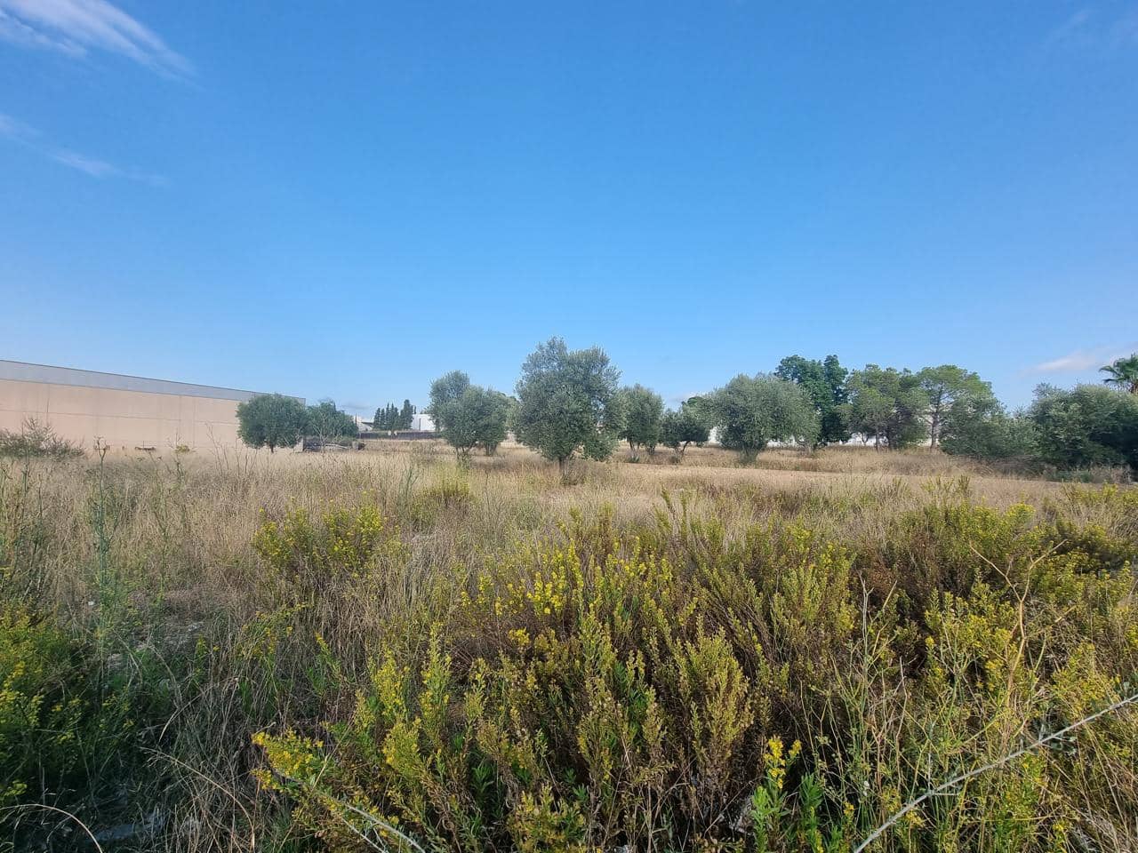 Terreno Não Urbanizado para venda em La Pobla de Vallbona - 395 000 € (Ref: 7197584)