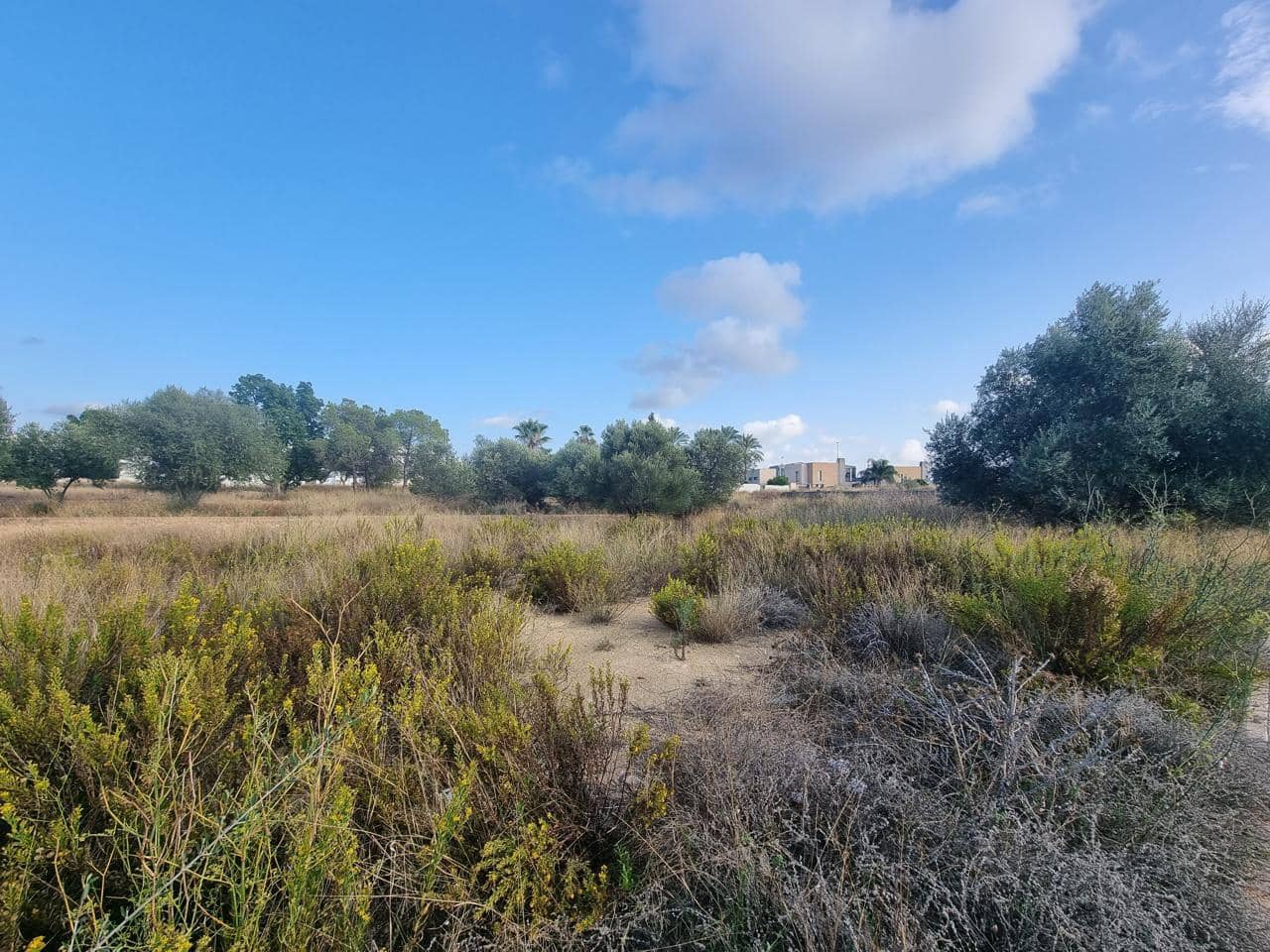 Terreno Não Urbanizado para venda em La Pobla de Vallbona - 395 000 € (Ref: 7197584)