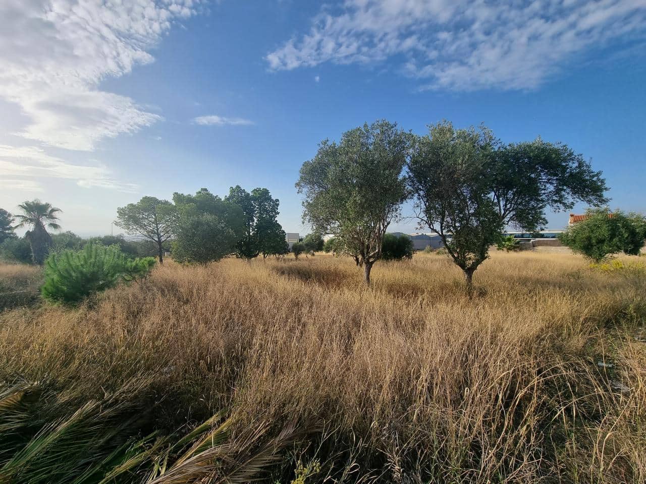 Terreno Não Urbanizado para venda em La Pobla de Vallbona - 395 000 € (Ref: 7197584)