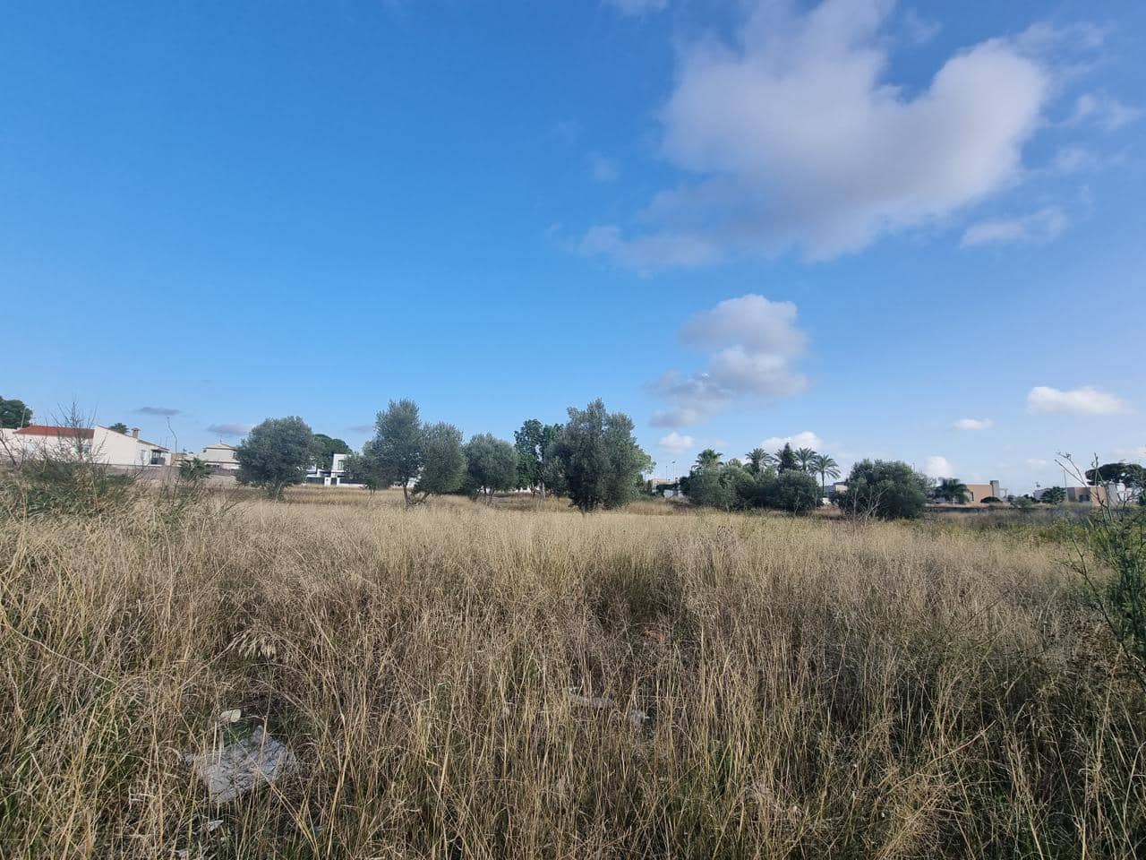 Terreno Não Urbanizado para venda em La Pobla de Vallbona - 395 000 € (Ref: 7197584)