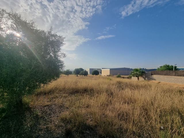 Terre non Aménagée à vendre à La Pobla de Vallbona - 395 000 € (Ref: 7197584)