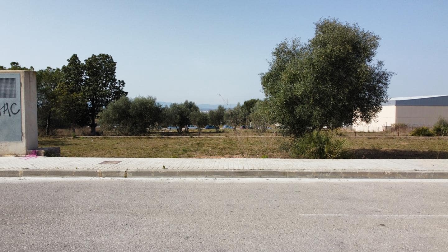 Terreno Não Urbanizado para venda em La Pobla de Vallbona - 395 000 € (Ref: 7197584)