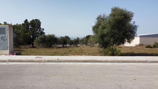 Terre non Aménagée à vendre à La Pobla de Vallbona - 395 000 € (Ref: 7197584)