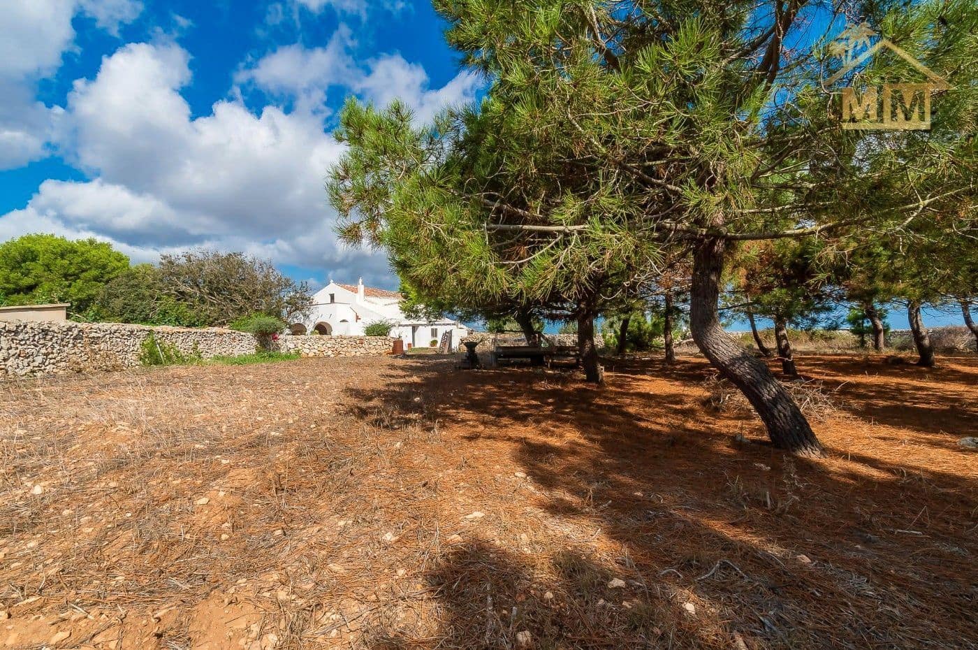 6 quarto Quinta/Casa Rural para venda em San Luis / Sant Lluis com piscina - 1 500 000 € (Ref: 7161519)