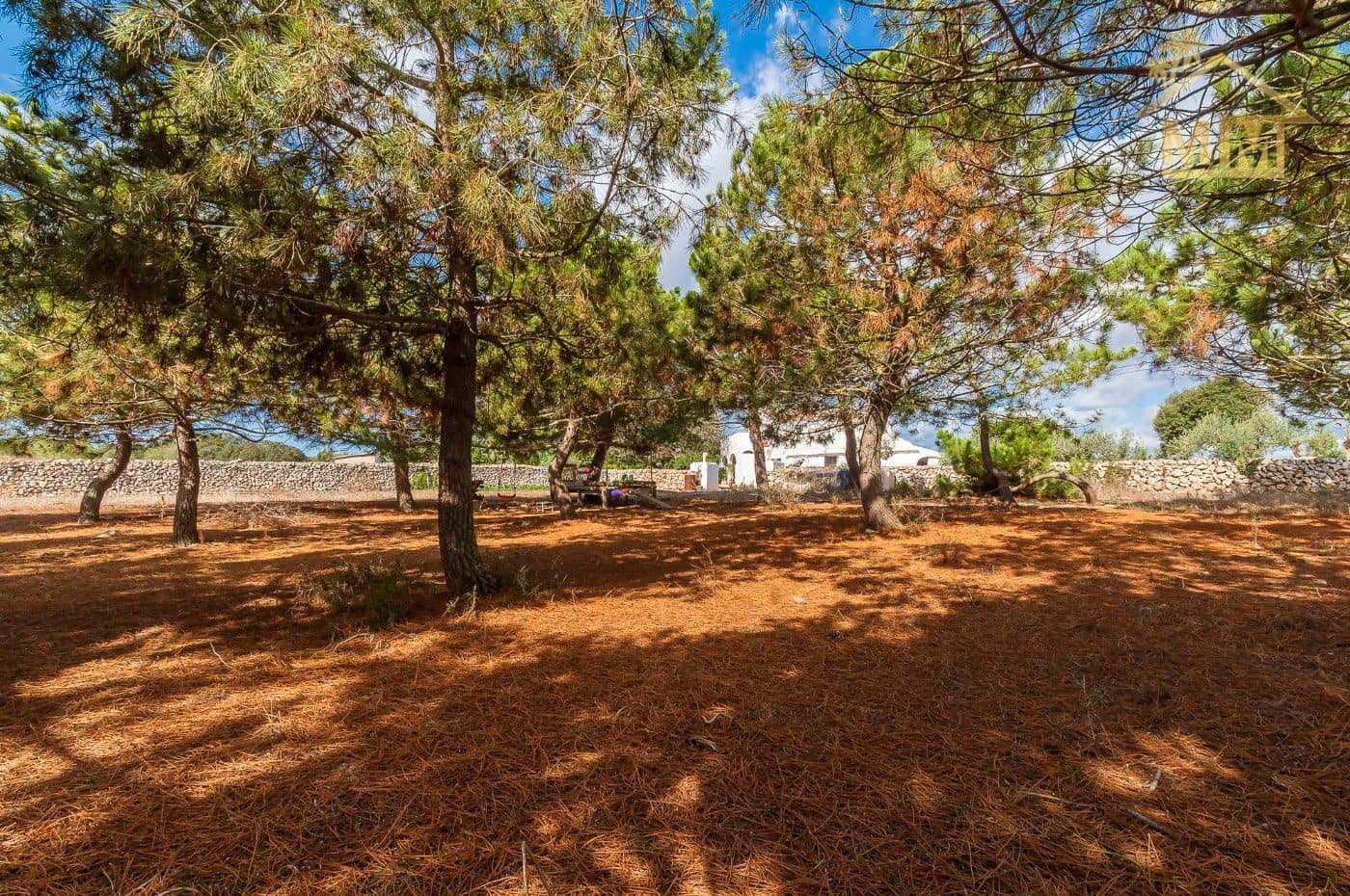 6 quarto Quinta/Casa Rural para venda em San Luis / Sant Lluis com piscina - 1 500 000 € (Ref: 7161519)