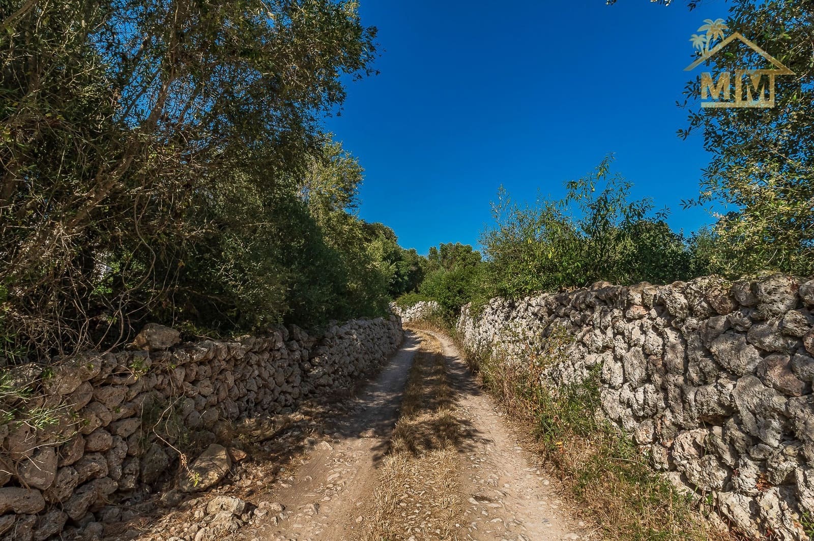 5 soveværelse Finca/Landehus til salg i Es Castell med swimmingpool - € 995.000 (Ref: 7161538)