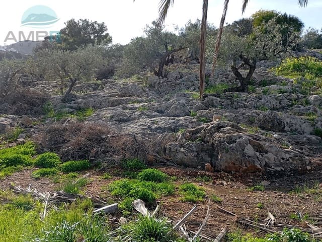 Grond te koop in Pego - € 55.000 (Ref: 9412538)