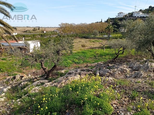 Grond te koop in Pego - € 55.000 (Ref: 9412538)