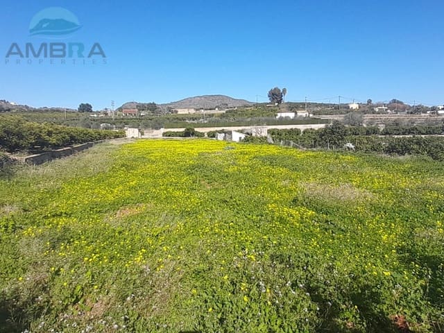 Mark till salu i Pego - 27 000 € (Ref: 9412539)