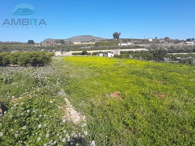 Mark till salu i Pego - 27 000 € (Ref: 9412539)