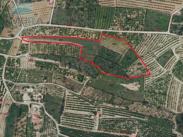 Terre non Aménagée à vendre à Pego - 79 900 € (Ref: 9412540)