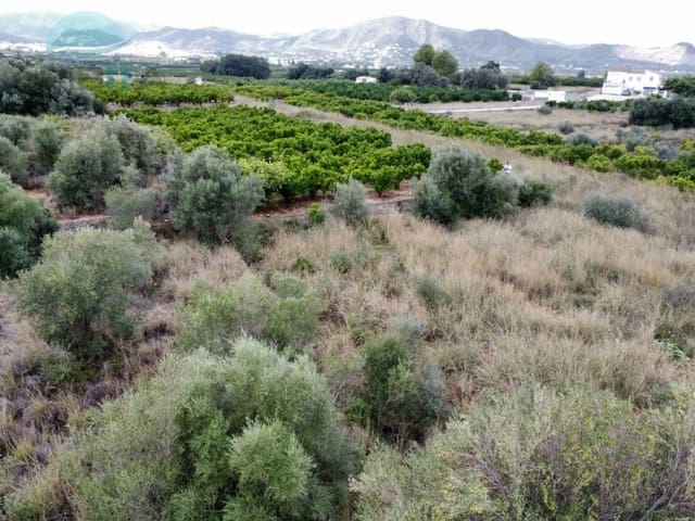 Terre non Aménagée à vendre à Pego - 79 900 € (Ref: 9412540)