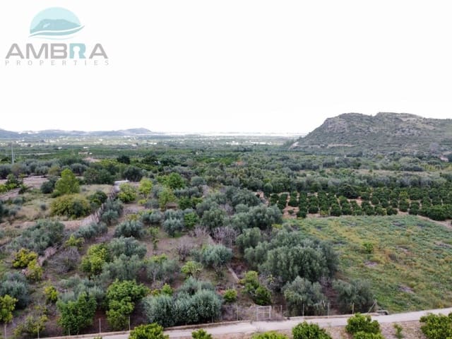 Terre non Aménagée à vendre à Pego - 79 900 € (Ref: 9412540)