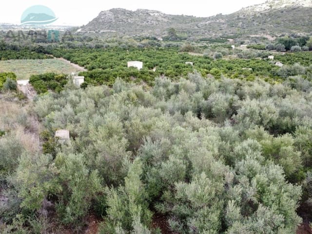 Terre non Aménagée à vendre à Pego - 79 900 € (Ref: 9412540)